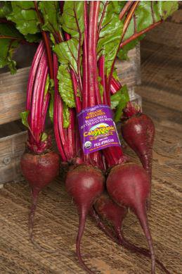 Beets Organic