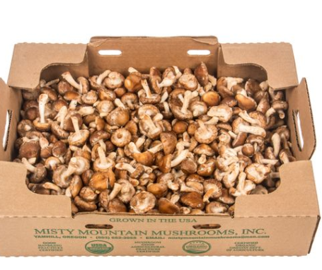 Mushrooms, Shiitake