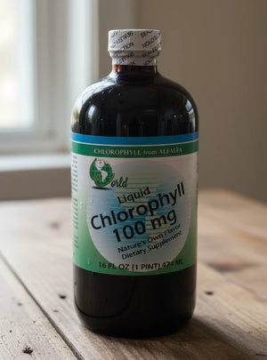 A4, Liquid Chlorophyll, 100 mg, 16 fl oz, World Organic