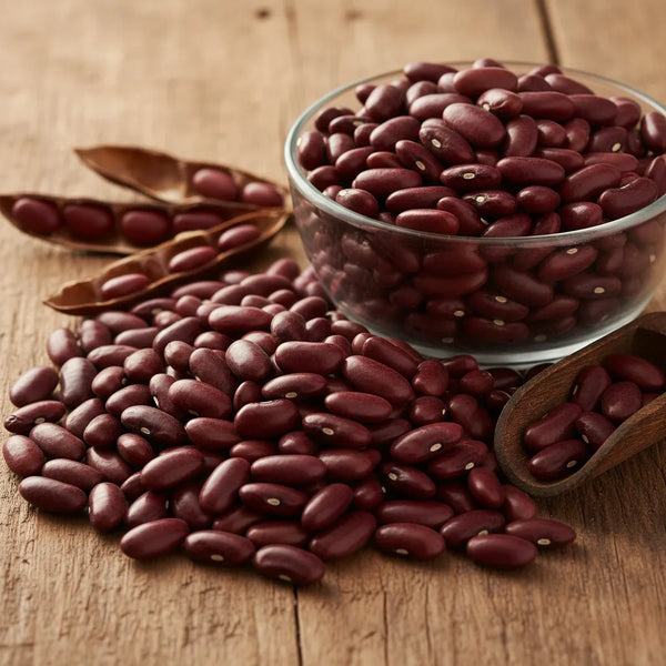 Dark Red Kidney Beans, Field Day, Organic