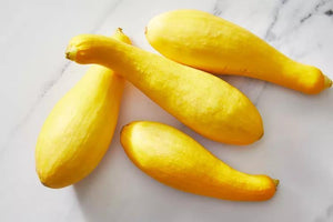 Summer Squash, local